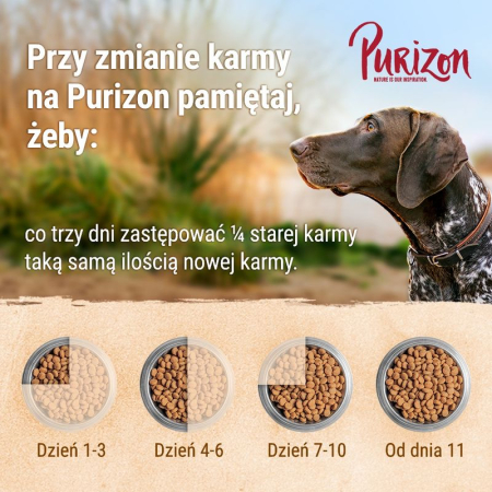 Purizon Adult, wołowina Black-Angus i indyk 1kg